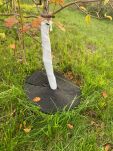 Taśma, opaska do zabezpieczania i ochrony pni drzewek 12x150 cm, grubość 2,5 mm kpl 3 szt. - 6