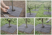 Filcowa mata przeciwchwastowa kwadratowa 37x37 cm 4mm szara, do ściółkowania roslin, drzewek, drzew, szkółkarstwa - 10