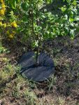 Krążek filcowy zabezpieczający przed chwastami ściółkowanie grafit fi 50 cm - 6