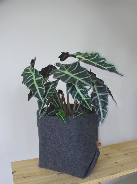 Osłonka na doniczkę Simple XL - 25 cm