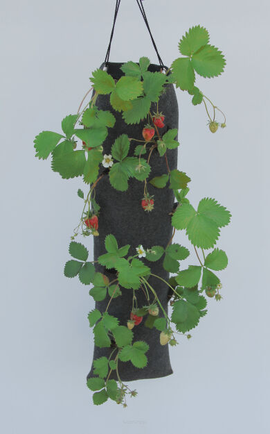 Rękaw Wertykalny 70 cm