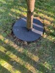 Krążek filcowy zabezpieczający przed chwastami ściółkowanie grafit fi 40 cm - 11