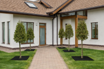 Filcowa mata przeciwchwastowa kwadratowa 60x60 cm 4mm grafit, do ściółkowania roslin, drzewek, drzew, szkółkarstwa - 17