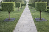 Filcowa mata przeciwchwastowa kwadratowa 80x80 cm 4mm szara, do ściółkowania roslin, drzewek, drzew, szkółkarstwa - 6