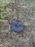 Krążek filcowy podkładka, mata, dysk antychwastowy Φ60 cm szary – do ściółkowania roślin, drzewek, drzew - 13