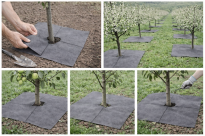 Filcowa mata przeciwchwastowa kwadratowa 50x50 cm 4mm szara, do ściółkowania roslin, drzewek, drzew, szkółkarstwa - 4